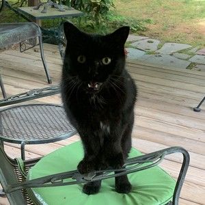 Meet your Posher, Joanne